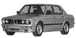 BMW E28 P1B10 Fault Code